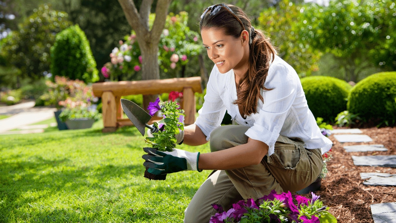 Come Allestire un Perfetto Vialetto di Ghiaia in Giardino