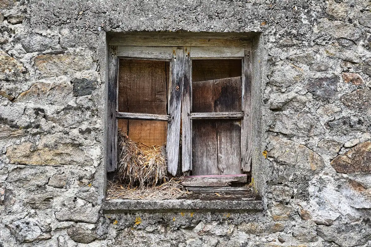Dettaglio di superfici in legno e pietra che evidenziano texture naturali