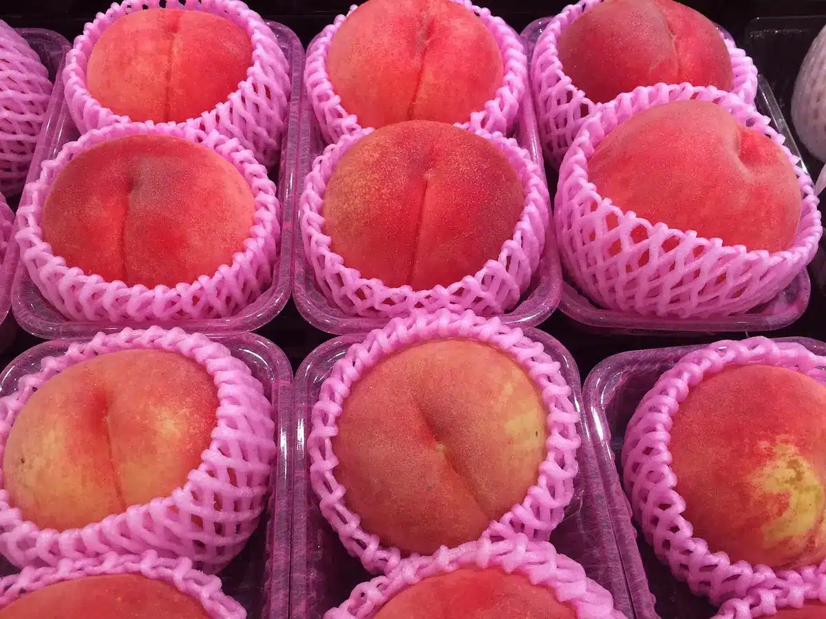 Mano di un consumatore che esamina il prezzo di un prodotto su uno scaffale di supermercato