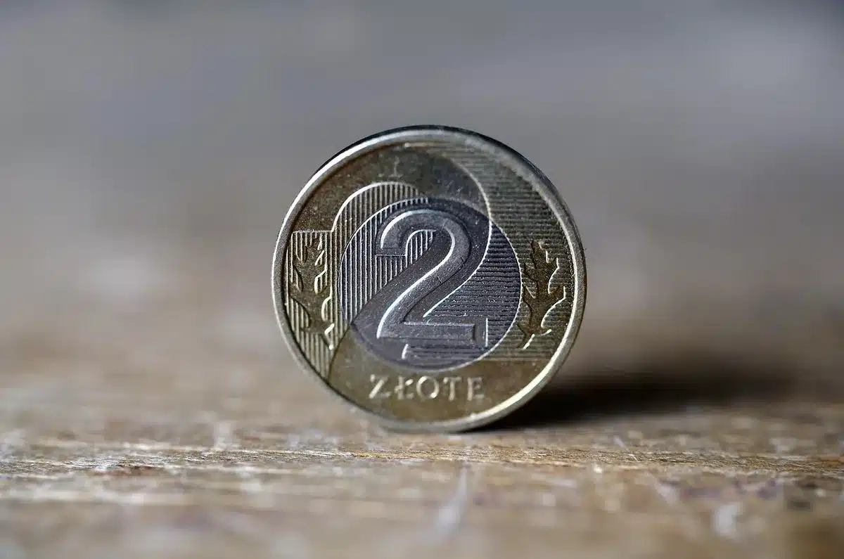 Bilancia con monete e documenti che rappresentano equilibrio tra servizio pubblico e costo fiscale