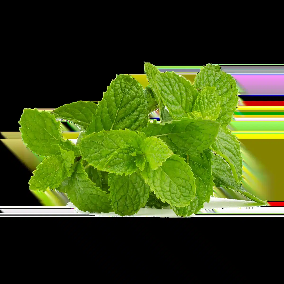 Cucina con schienale o piastrelle in verde acqua bilanciate da superfici bianche.