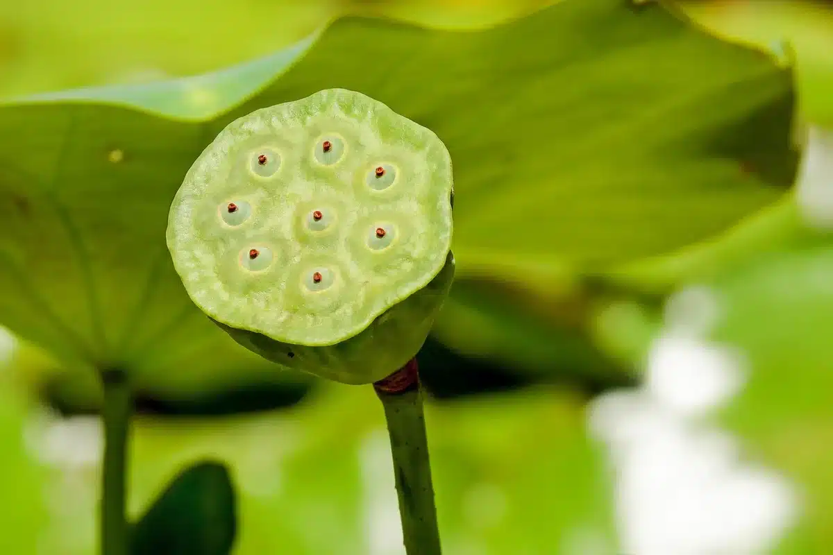 Angolo ombreggiato con piante tropicali e faretti LED tra le foglie